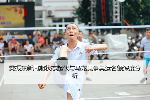 樊振东新周期状态起伏与马龙竞争奥运名额深度分析